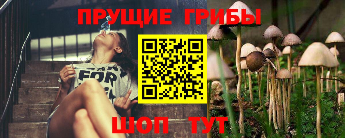 Галлюциногенные грибы Psilocybe  Вход с VPN  Дзержинский  Псилоцибиновые грибы мицелий 